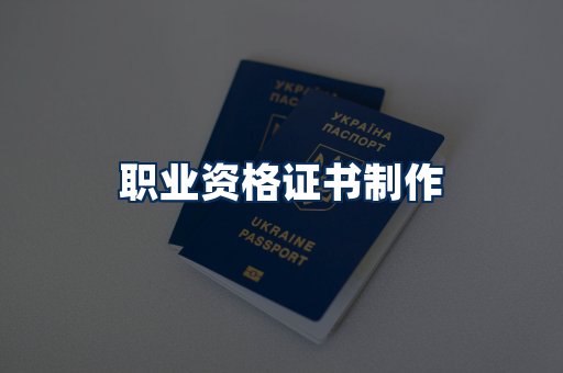 职业资格展示