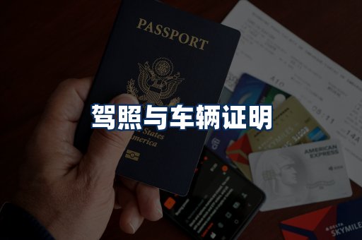 车辆证明展示